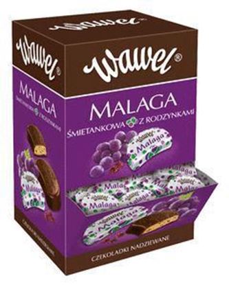 MALAGA WAWEL - szt.