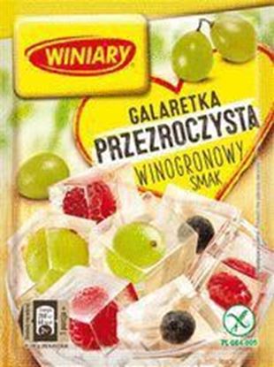 GALARETKA JAGODOWA 50G WINIARY