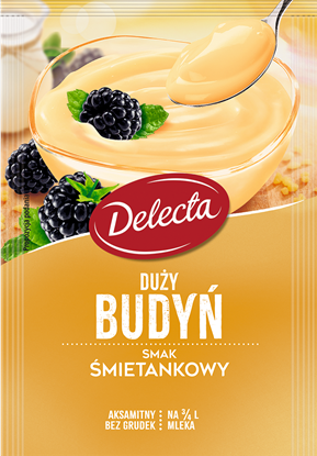 Picture of DELEC.BUDYN SMIET.64G
